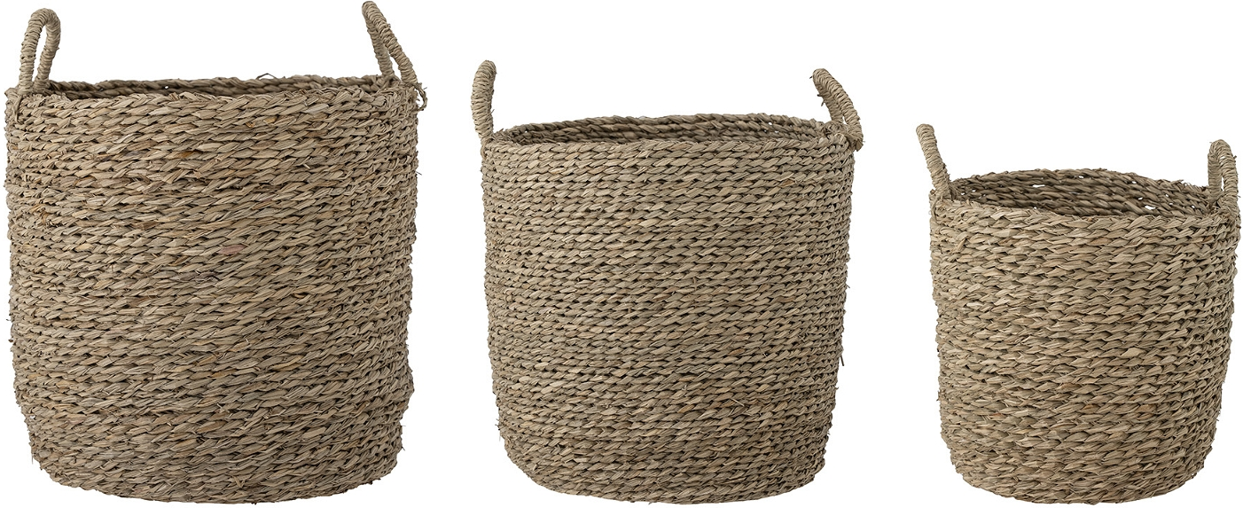 Maisie, Kurv, natur, søgræs Maisie, Kurv, natur, søgræs