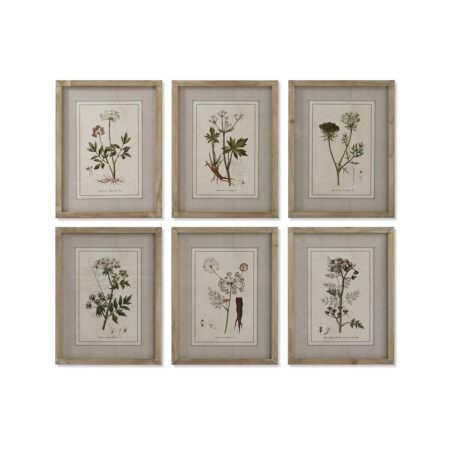 Maleri Home ESPRIT Shabby Chic Botaniske planter 30 x 2 x 40 cm (6 enheder)
