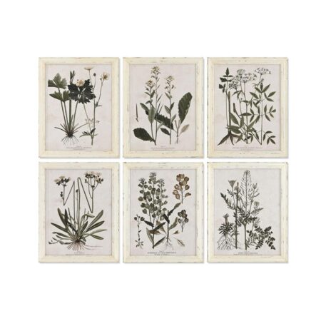 Maleri Home ESPRIT Shabby Chic Botaniske planter 40 x 1,5 x 50 cm (6 enheder)