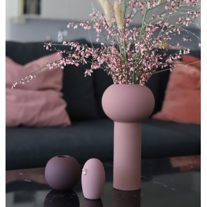 Mika vas - Rosa
