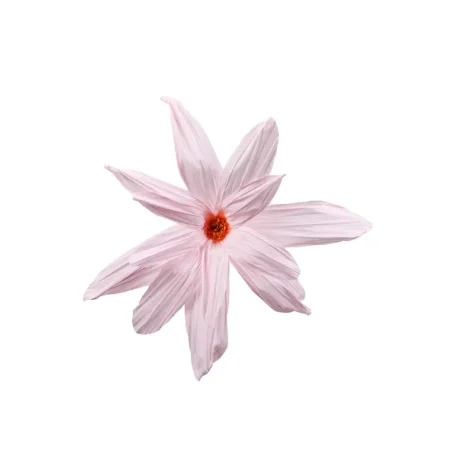Mr Plant, Blomst Inez væg Ø90 cm pink
