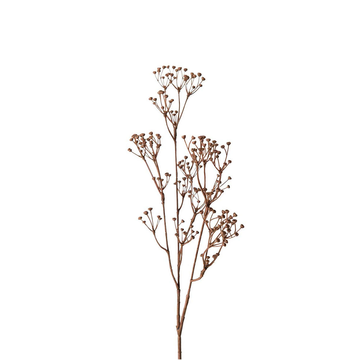 Mr. Plant Talinum gren - brun - 65 Mr. Plant Talinum gren - brun - 65