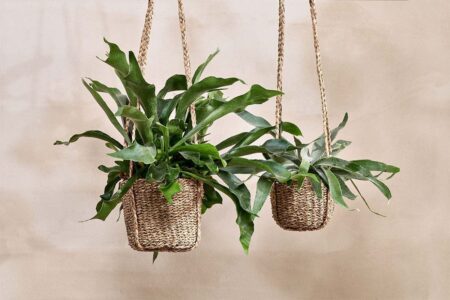 Nkuku Sangdi Seagrass Hanging Planter | Vases & Planters | Natural | Large