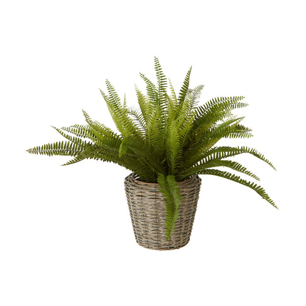 Olivia's Freda Planter Succulent Boston Fern Rattan Olivia's Freda Planter Succulent Boston Fern Rattan
