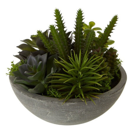 Olivia's Freda Planter Succulent Paper Stone Effect Pot Mixed