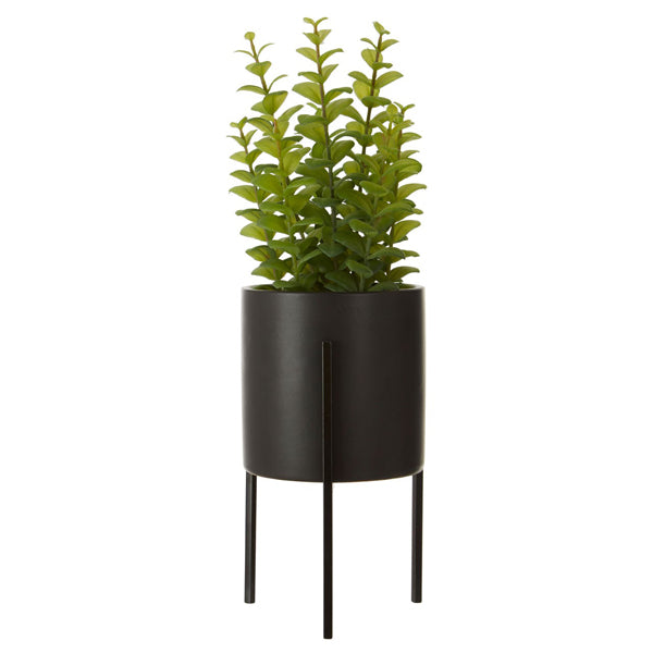 Olivia's Freda Planter Thyme