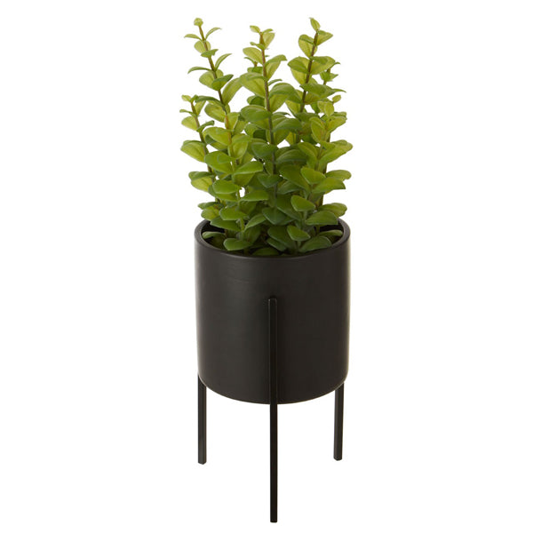 Olivia's Freda Planter Thyme Olivia's Freda Planter Thyme