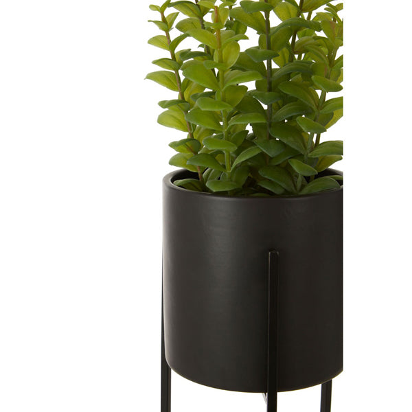 Olivia's Freda Planter Thyme