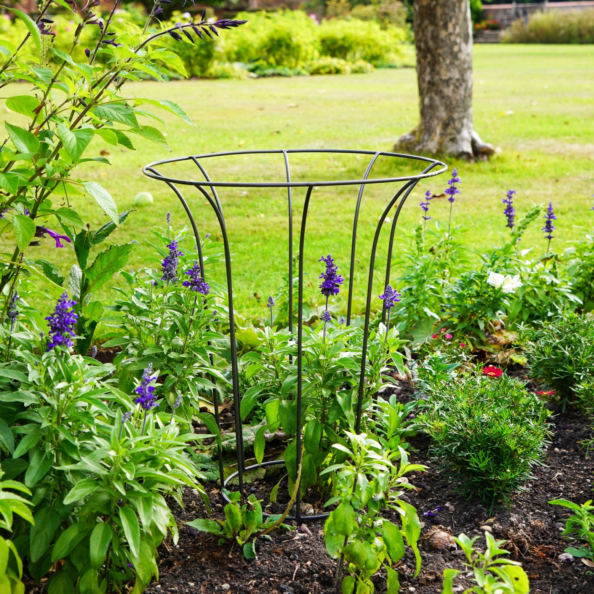 Outdoor Fluted Plant Support Climber Zinc Outdoor Fluted Plant Support Climber Zinc