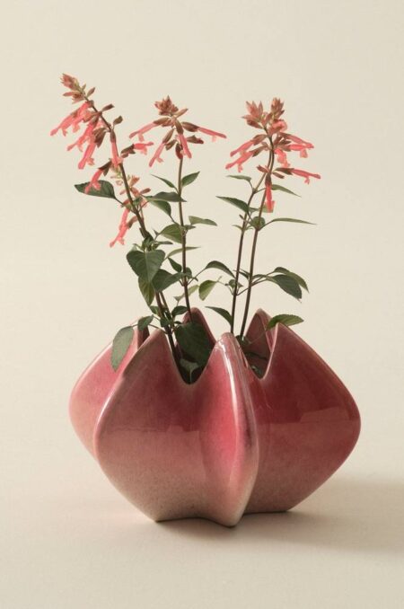PEACHES vase R⌀drosa