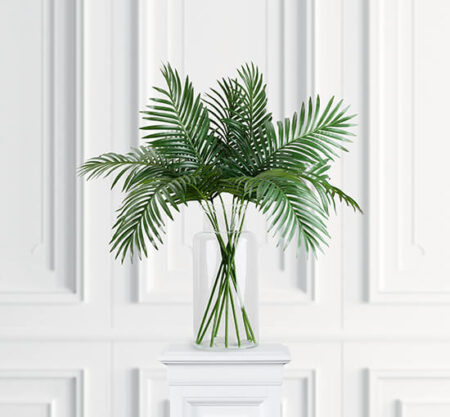 Palm leaf potted plant green
