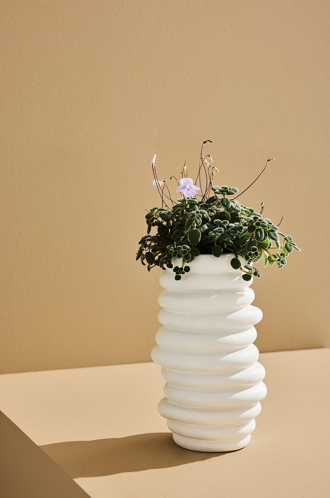 Pastill - Beth vase - Hvid - Urtepotteskjulere & vaser - - Homeroom Pastill - Beth vase - Hvid - Urtepotteskjulere & vaser - - Homeroom
