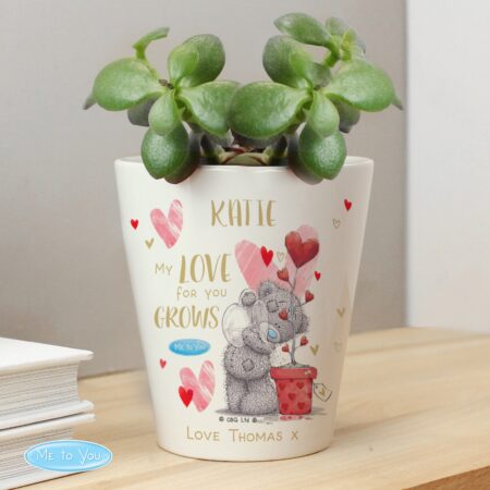 Personalised Me To You Hold You Forever Plant Pot White