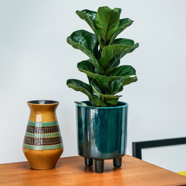 Pisa Plant Pot Emerald