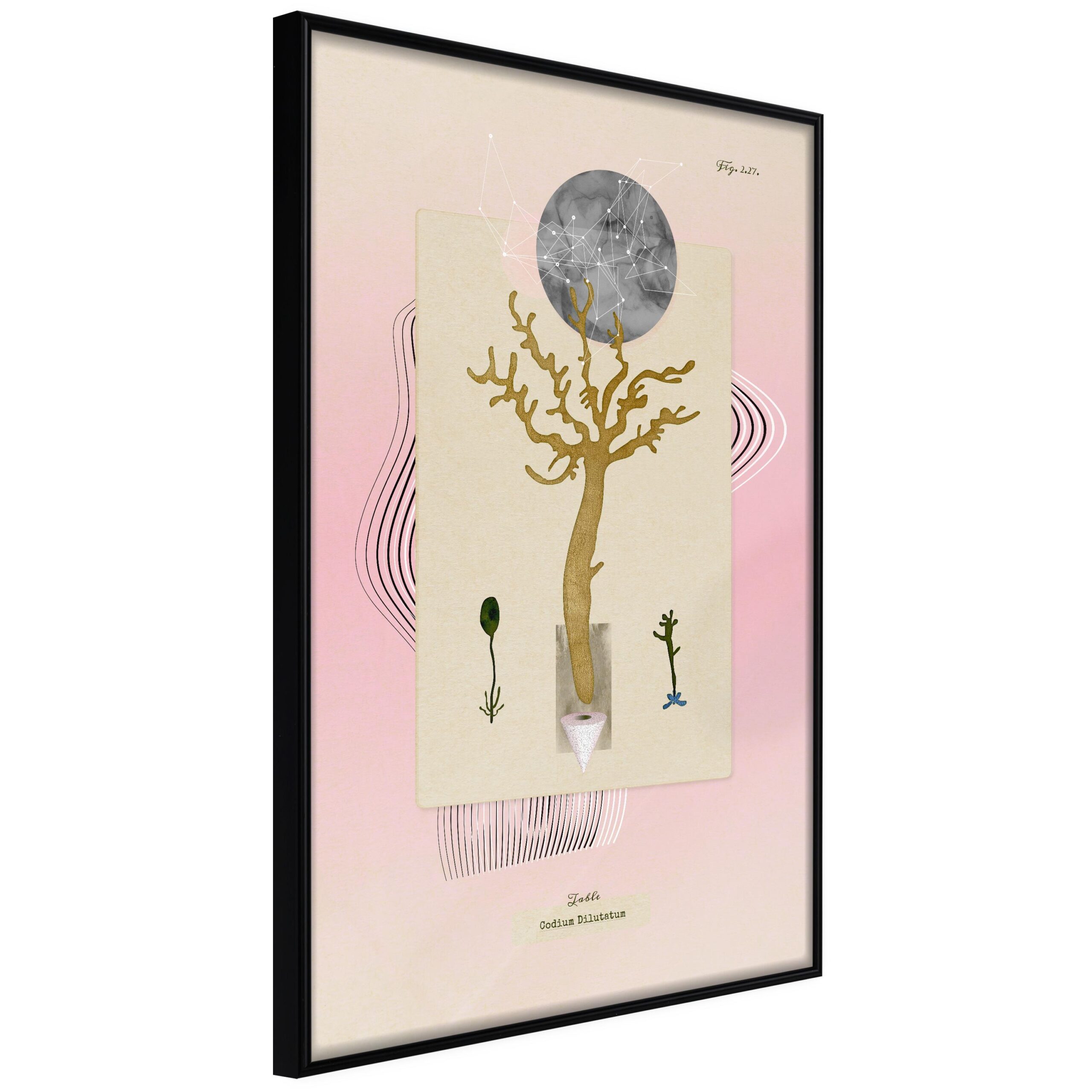 Plakat - Unusual Plant - 20 x 30 cm - Sort ramme Plakat - Unusual Plant - 20 x 30 cm - Sort ramme