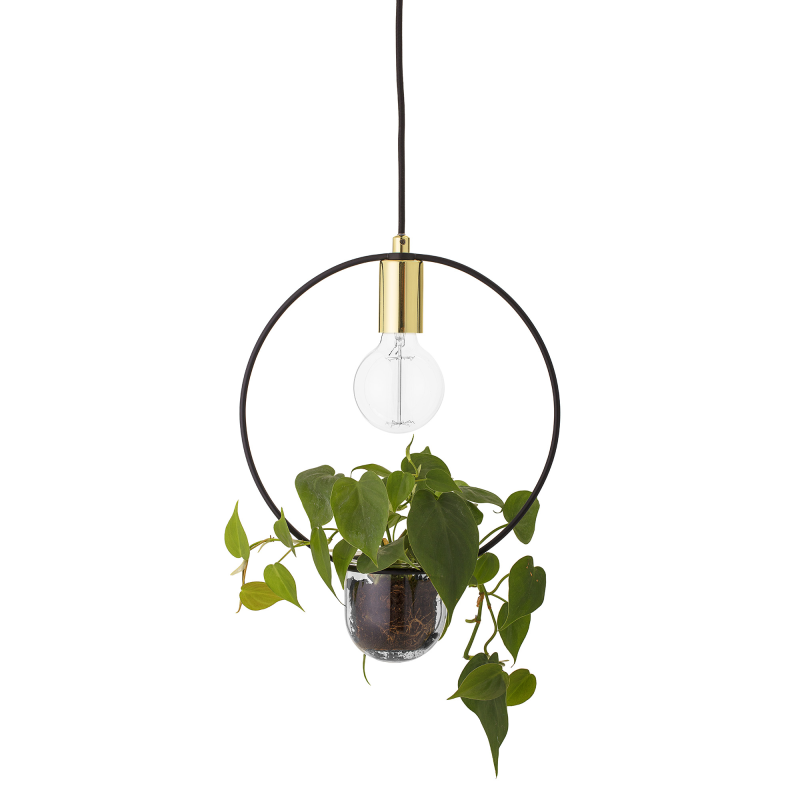Plante Loftlampe - Cirkel Plante Loftlampe - Cirkel