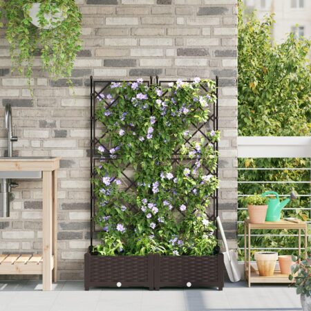 Plante med trellis 2 stk Brun 80x40x125.5 cm