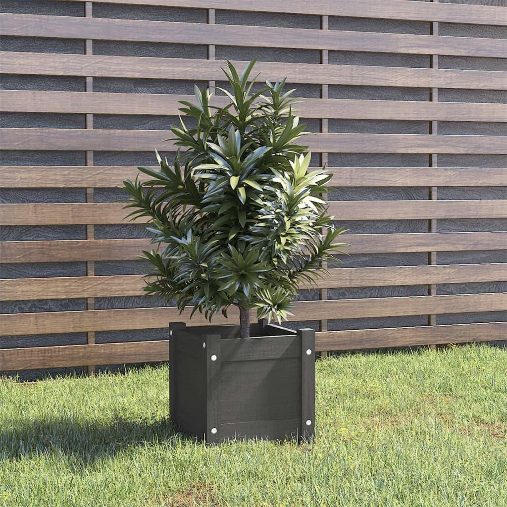 Plantekasse 31x31x31 cm massivt fyrretræ grå Plantekasse 31x31x31 cm massivt fyrretræ grå