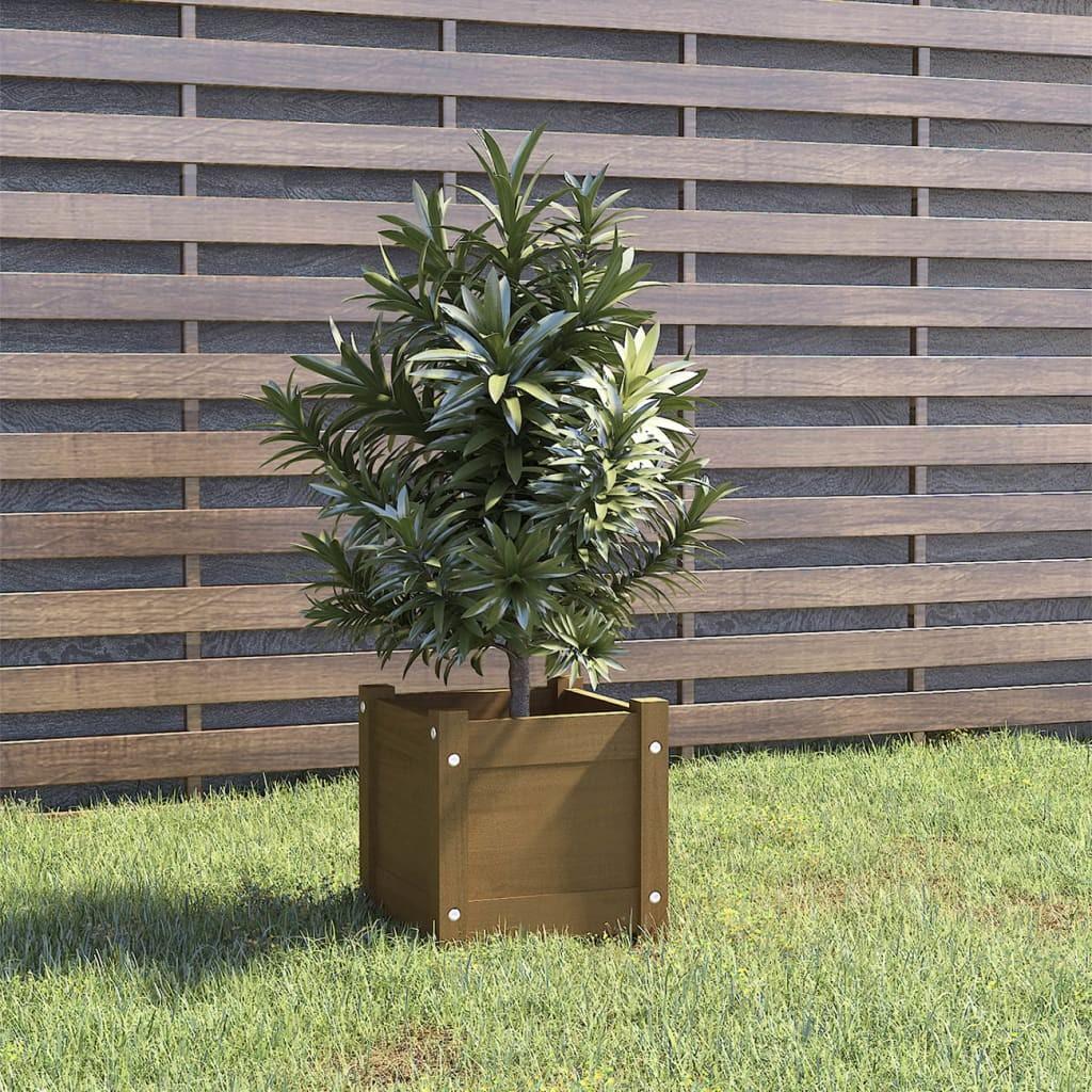 Plantekasse 31x31x31 cm massivt fyrretræ gyldenbrun Plantekasse 31x31x31 cm massivt fyrretræ gyldenbrun