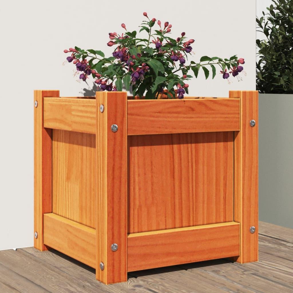 Plantekasse 31x31x31 cm massivt fyrretræ gyldenbrun Plantekasse 31x31x31 cm massivt fyrretræ gyldenbrun