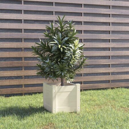 Plantekasse 31x31x31 cm massivt fyrretræ hvid