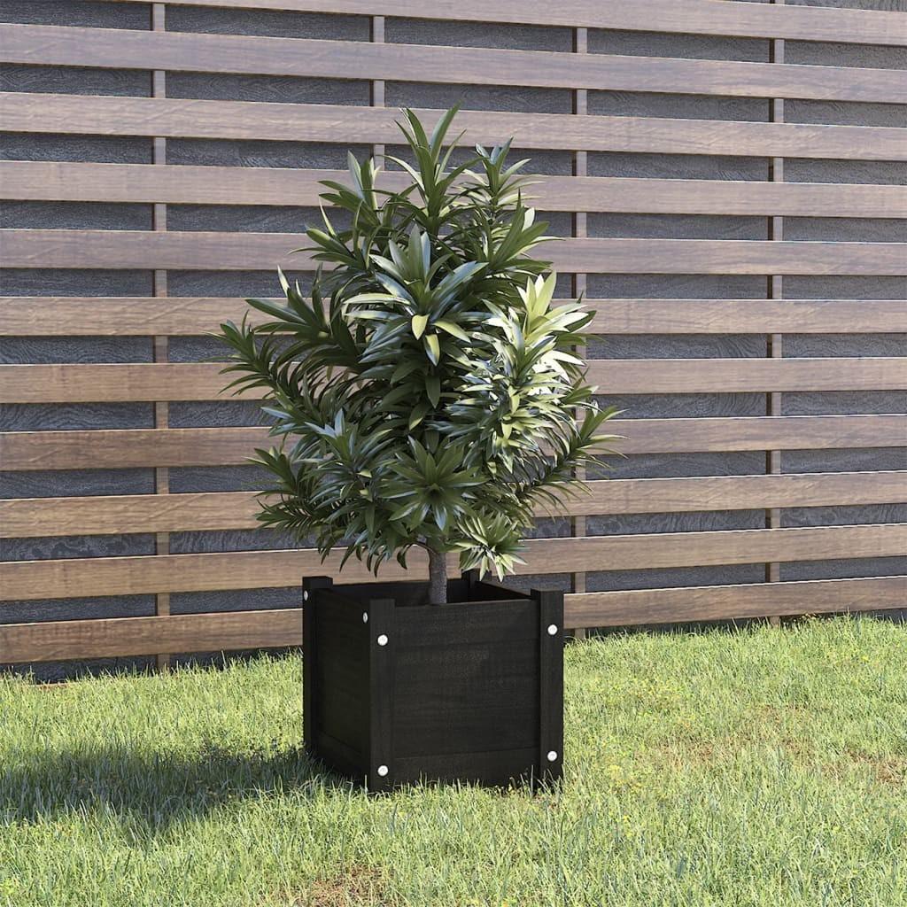 Plantekasse 31x31x31 cm massivt fyrretræ sort Plantekasse 31x31x31 cm massivt fyrretræ sort
