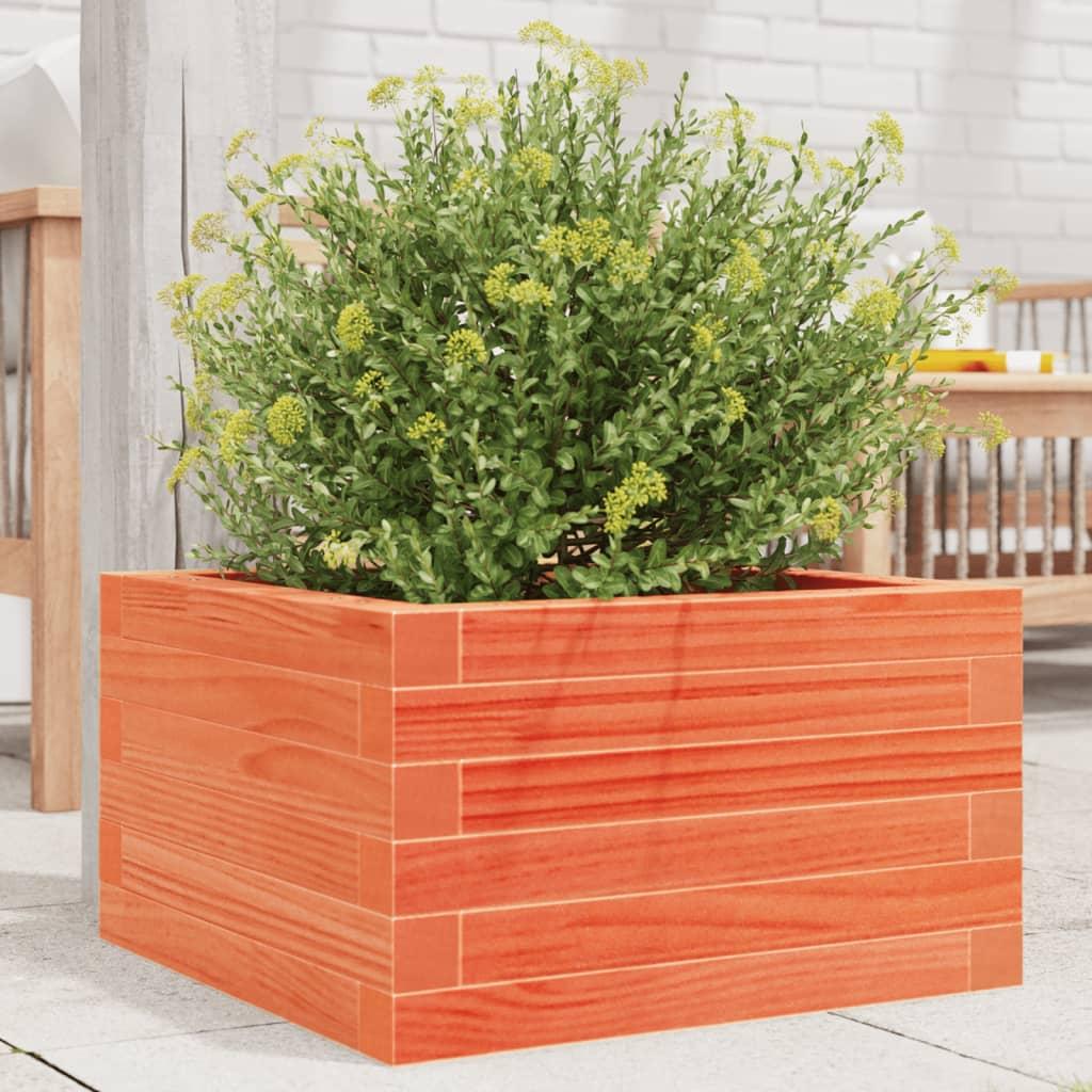 Plantekasse 40x40x23 cm massivt fyrretræ gyldenbrun Plantekasse 40x40x23 cm massivt fyrretræ gyldenbrun