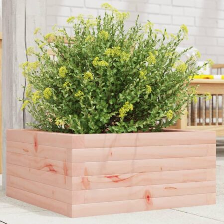 Plantekasse 50x50x23 cm massivt douglasgran