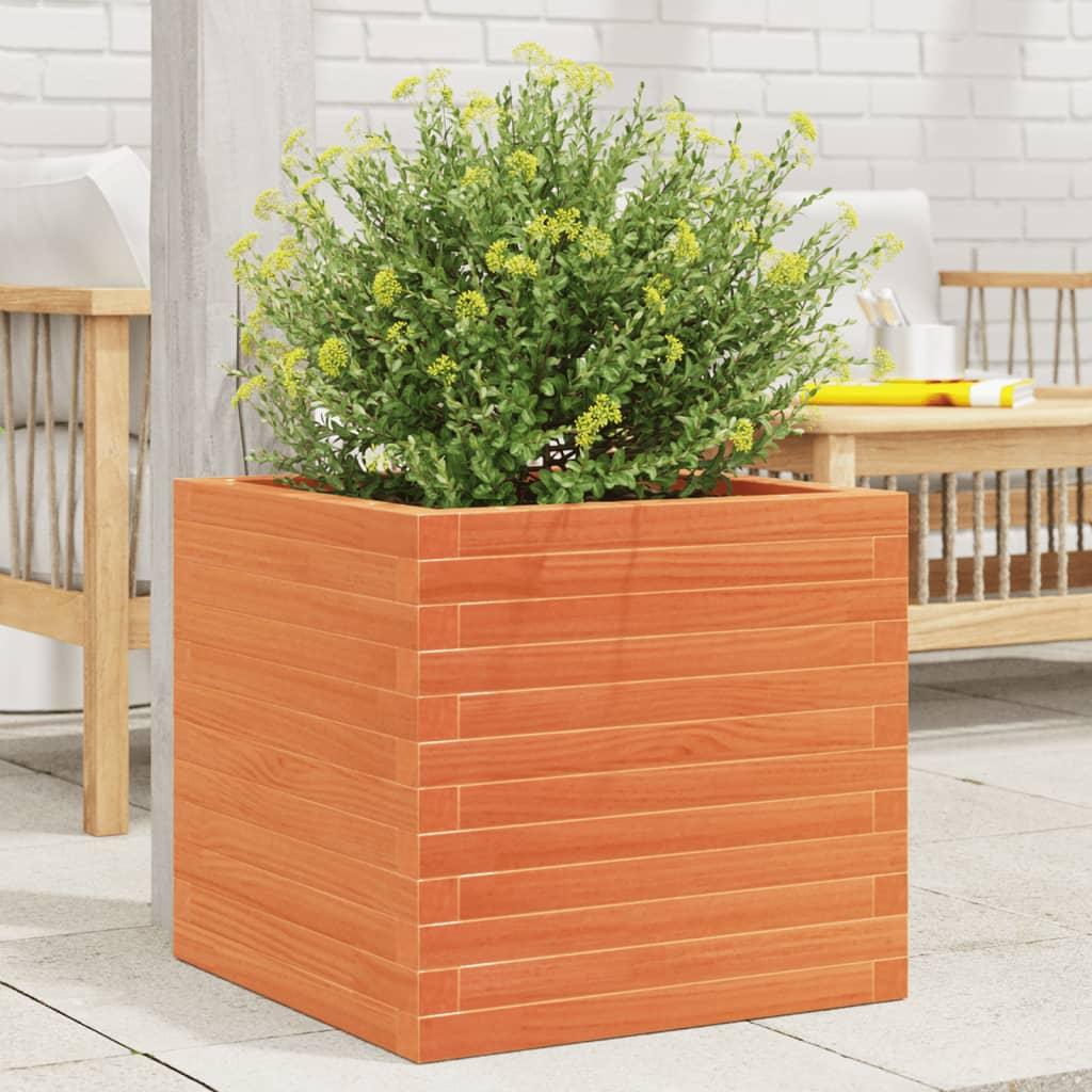 Plantekasse 50x50x46 cm massivt fyrretræ gyldenbrun Plantekasse 50x50x46 cm massivt fyrretræ gyldenbrun