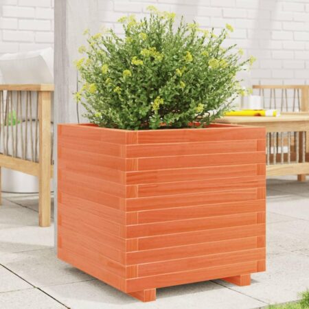 Plantekasse 50x50x49,5 cm massivt fyrretræ gyldenbrun