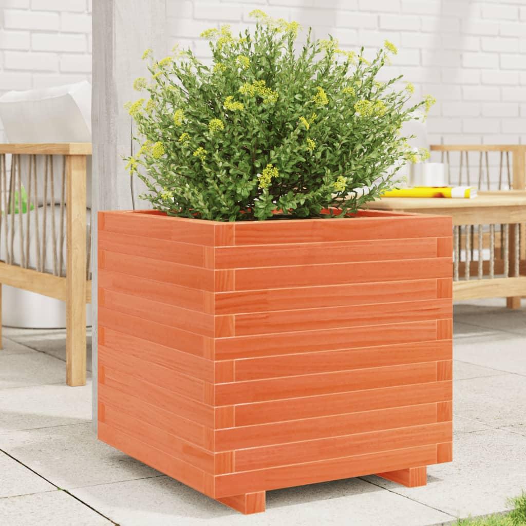 Plantekasse 50x50x49,5 cm massivt fyrretræ gyldenbrun Plantekasse 50x50x49,5 cm massivt fyrretræ gyldenbrun