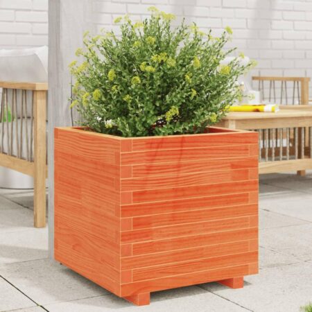 Plantekasse 50x50x49,5 cm massivt fyrretræ gyldenbrun