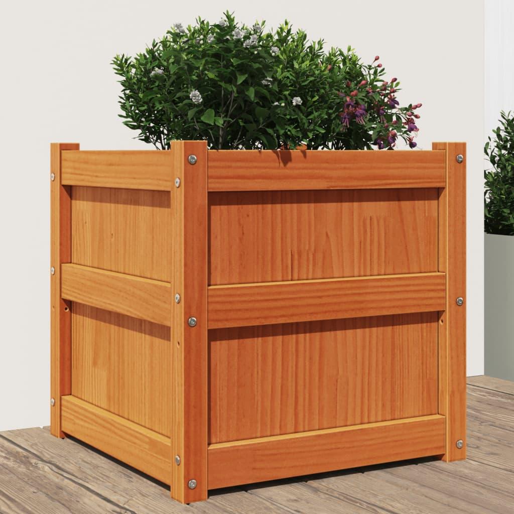 Plantekasse 50x50x50 cm massivt fyrretræ gyldenbrun Plantekasse 50x50x50 cm massivt fyrretræ gyldenbrun