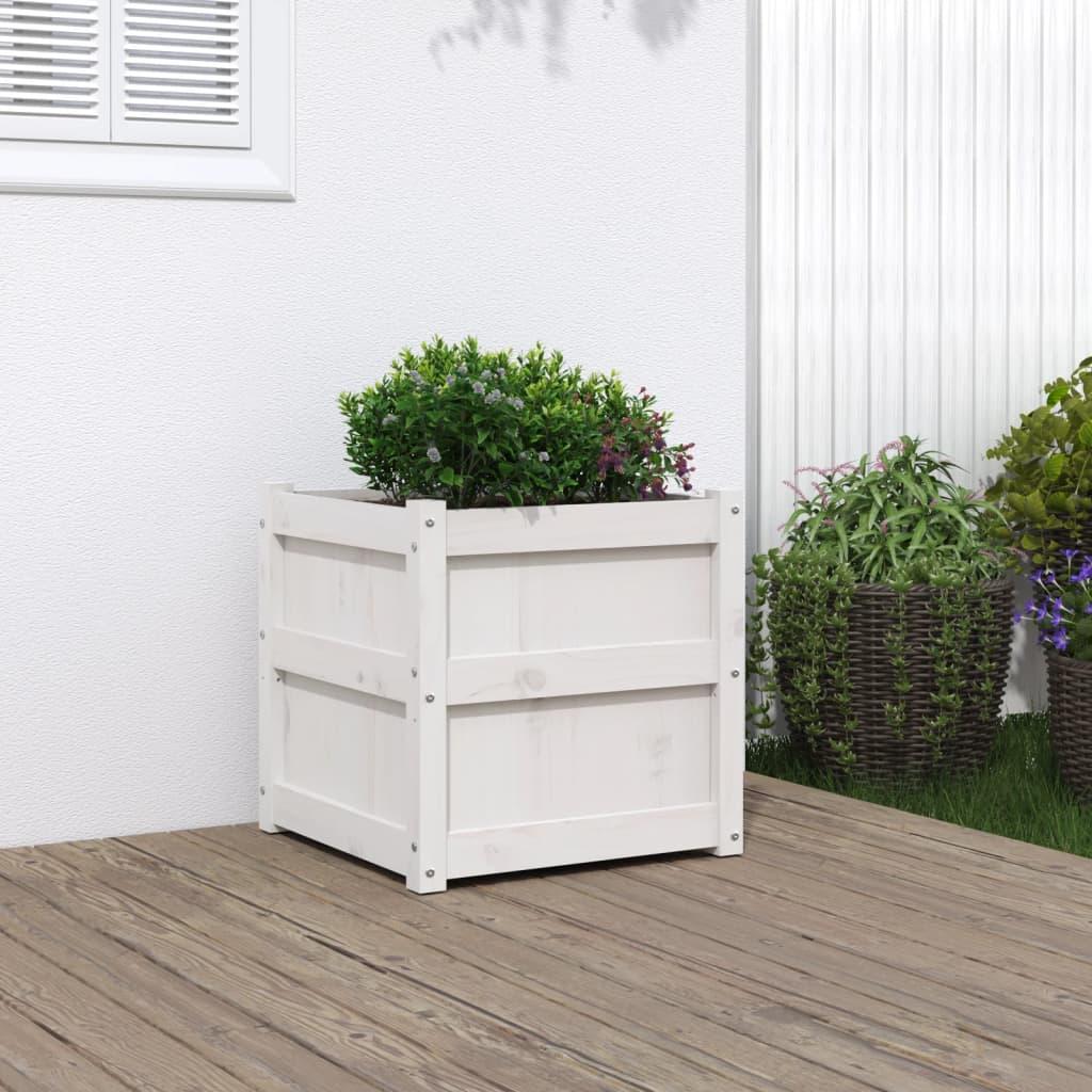 Plantekasse 50x50x50 cm massivt fyrretræ hvid Plantekasse 50x50x50 cm massivt fyrretræ hvid