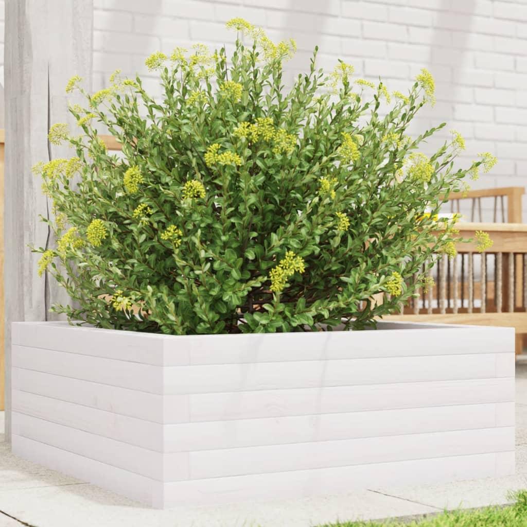 Plantekasse 60x60x23 cm massivt fyrretræ hvid Plantekasse 60x60x23 cm massivt fyrretræ hvid