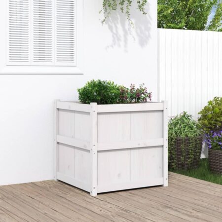 Plantekasse 70x70x70 cm massivt fyrretræ hvid