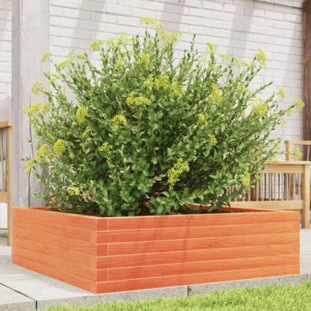 Plantekasse 80x80x23 cm massivt fyrretræ gyldenbrun
