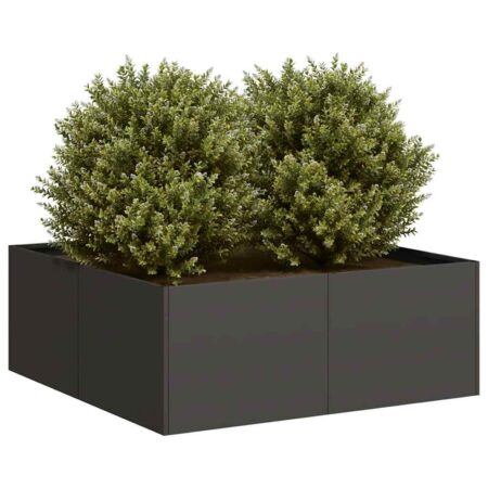 Plantekasse 80x80x30 cm stål sort