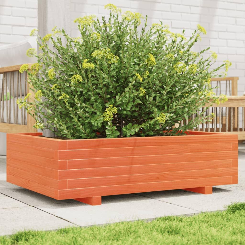 Plantekasse 90x60x26,5 cm massivt fyrretræ gyldenbrun Plantekasse 90x60x26,5 cm massivt fyrretræ gyldenbrun