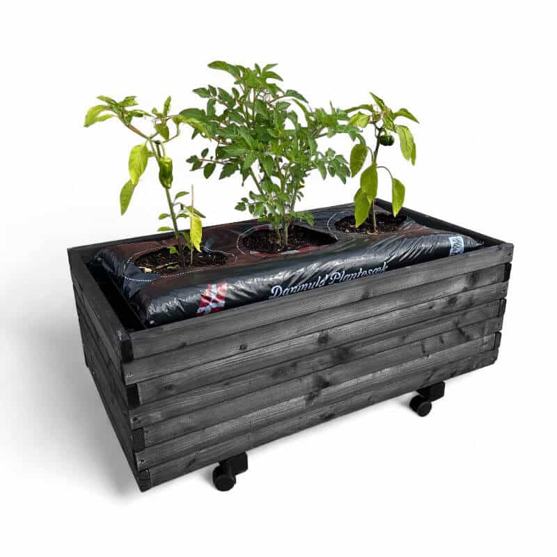 Plantekasse / Kapilærskjuler på hjul 91 x 51 x 36 cm Plantekasse / Kapilærskjuler på hjul 91 x 51 x 36 cm