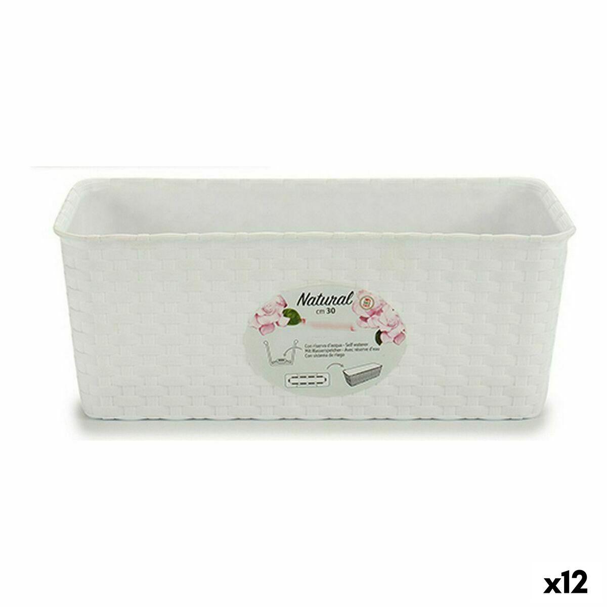 Plantekasse Stefanplast 13 x 11 x 28,5 cm Hvid Plastik (12 enheder) Plantekasse Stefanplast 13 x 11 x 28,5 cm Hvid Plastik (12 enheder)