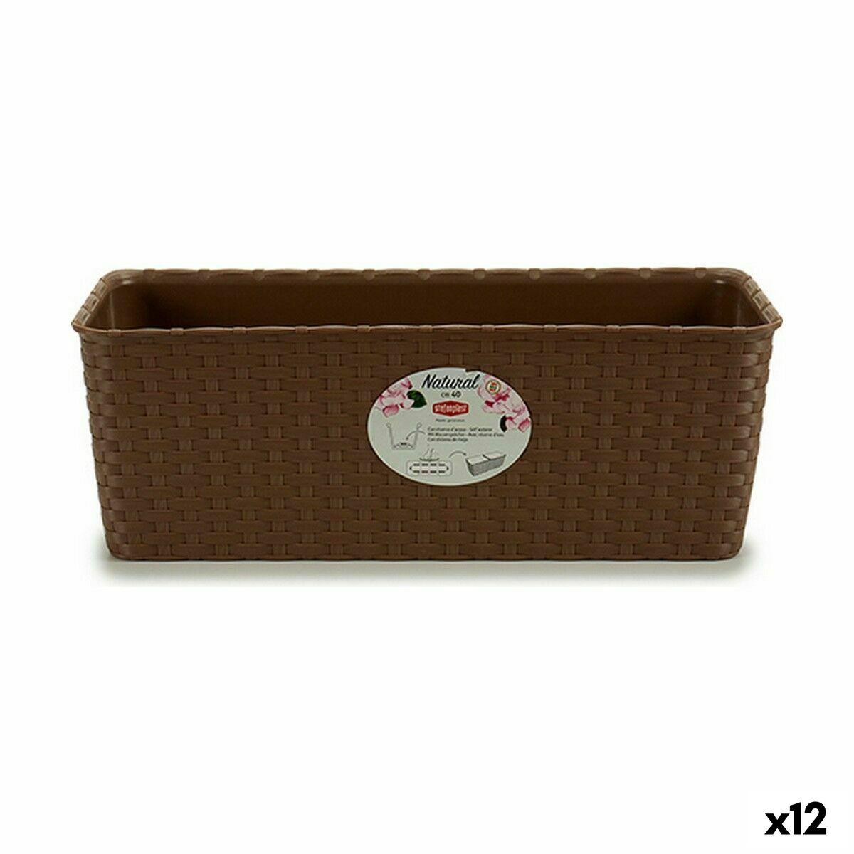 Plantekasse Stefanplast Beige Plastik 39 x 13,5 x 15,5 cm (12 enheder) Plantekasse Stefanplast Beige Plastik 39 x 13,5 x 15,5 cm (12 enheder)