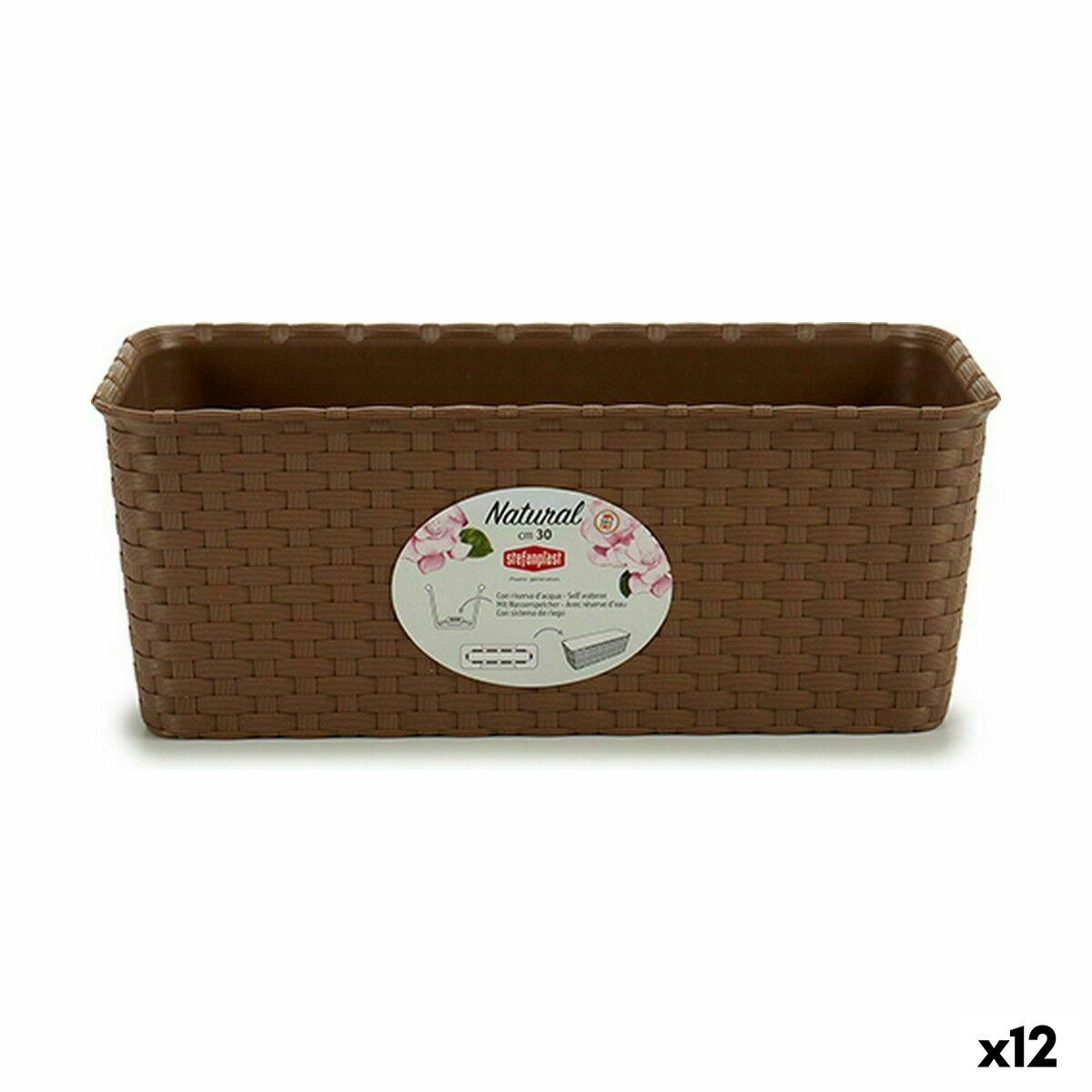 Plantekasse Stefanplast Brun PVC 13 x 11 x 28,5 cm (12 enheder) Plantekasse Stefanplast Brun PVC 13 x 11 x 28,5 cm (12 enheder)