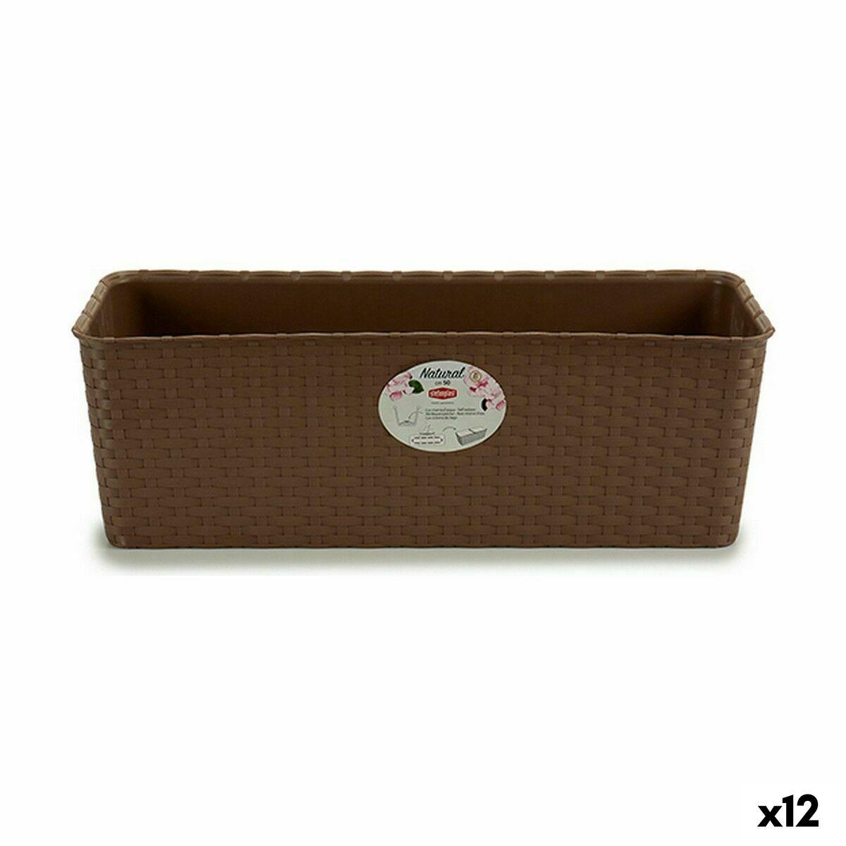 Plantekasse Stefanplast Brun Plastik 18 x 16 x 48,5 cm (12 enheder) Plantekasse Stefanplast Brun Plastik 18 x 16 x 48,5 cm (12 enheder)