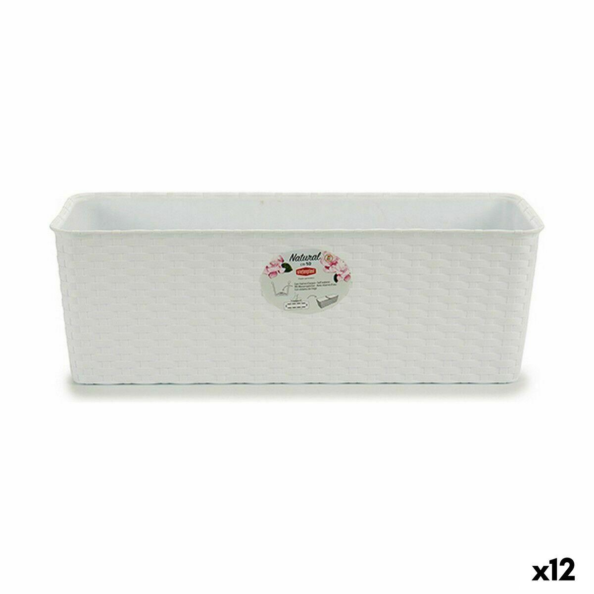 Plantekasse Stefanplast Hvid Plastik 48,5 x 16 x 18 cm (12 enheder) Plantekasse Stefanplast Hvid Plastik 48,5 x 16 x 18 cm (12 enheder)