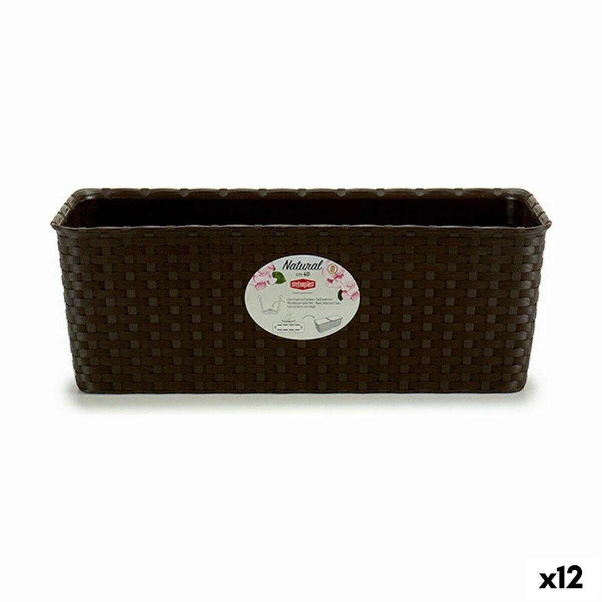 Plantekasse Stefanplast Plastik 39 x 13,5 x 15,5 cm (12 enheder) Plantekasse Stefanplast Plastik 39 x 13,5 x 15,5 cm (12 enheder)