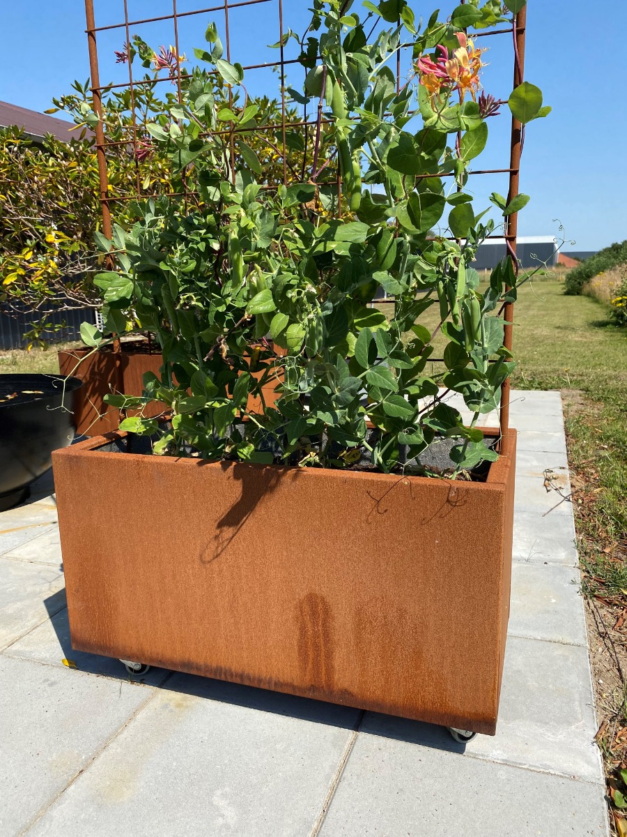 Plantekasse corten m/espalier 80 x 40 x 40 cm Plantekasse corten m/espalier 80 x 40 x 40 cm