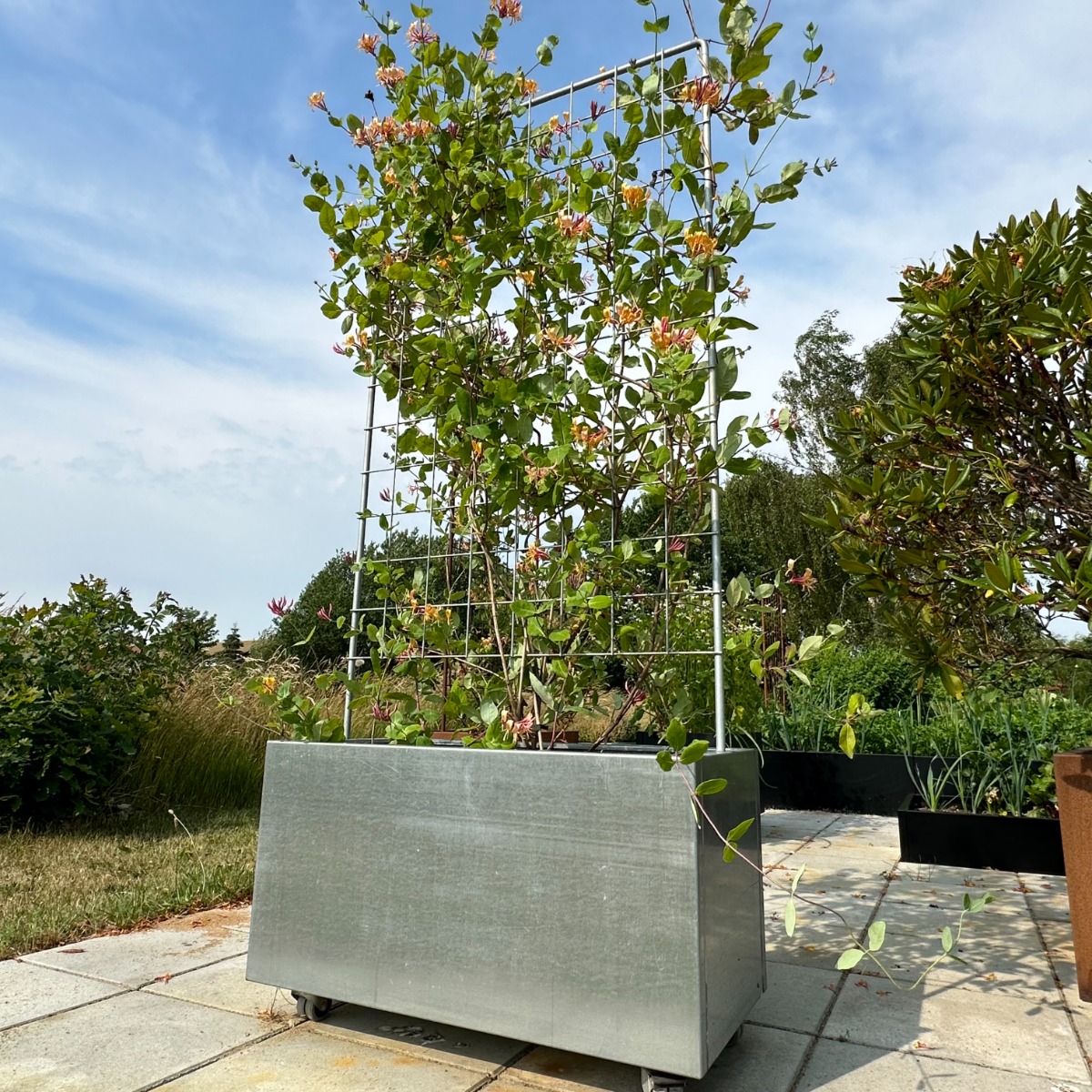 Plantekasse galva m/espalier 80 x 40 x 40 cm Plantekasse galva m/espalier 80 x 40 x 40 cm