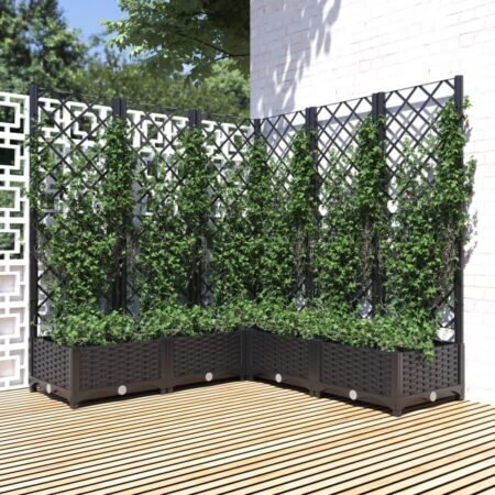 Plantekasse med espalier 120x120x121,5 cm PP sort