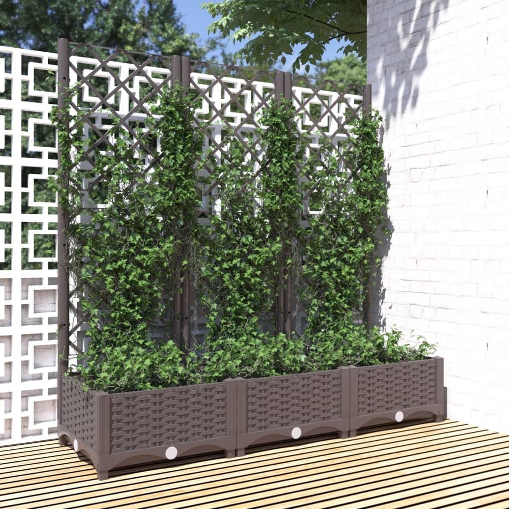 Plantekasse med espalier 120x40x121,5 cm PP brun Plantekasse med espalier 120x40x121,5 cm PP brun